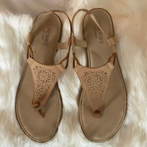 Size 11 Sperry flats